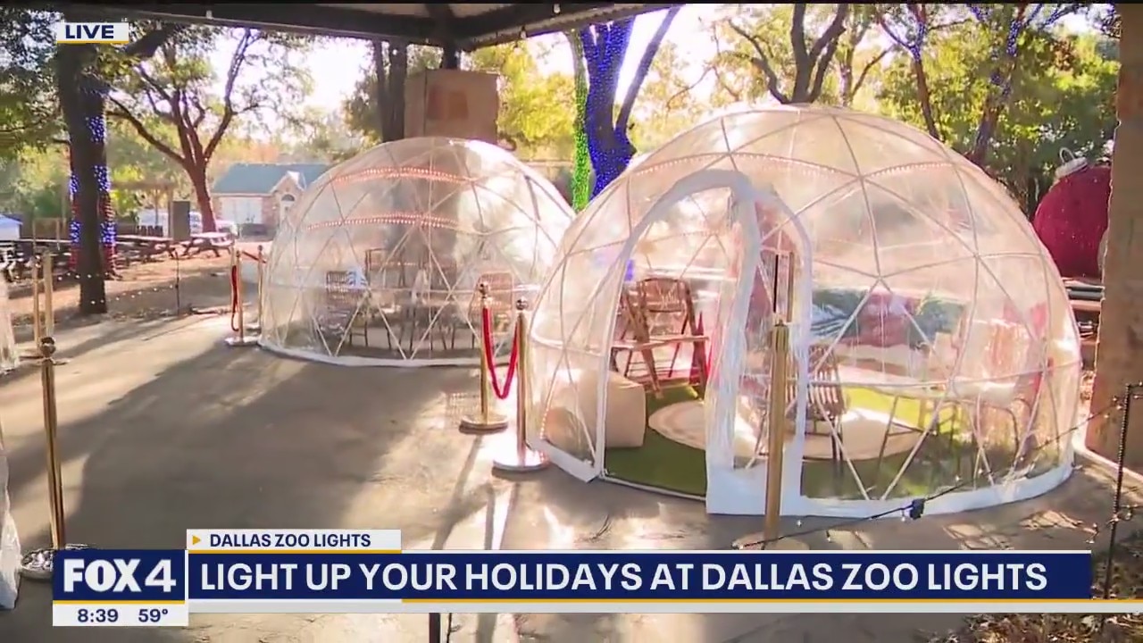Light up your holidays at Dallas Zoo Lights