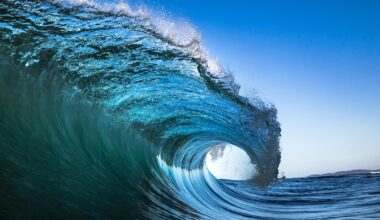 First Detailed Look at a Tsunami From Space Reveals Unexpected Feature : ScienceAlert