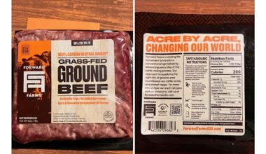 Idaho company recalls nearly 3,000 pounds of ground beef for E. coli risk