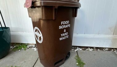 Queens’ top stories from January 2025 – QNS