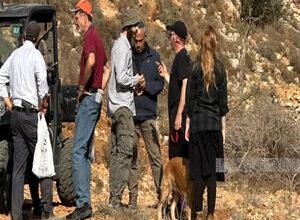 Israeli colonists steal 200 sheep and vehicle during military raid on north of Ramallah