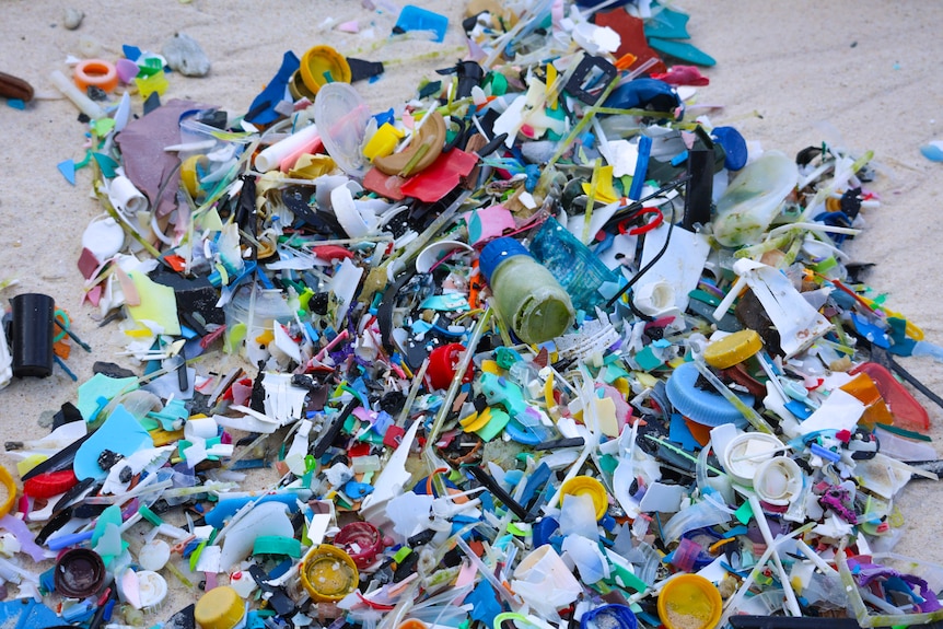 A pile of multicoloured pieces of plastic lies on the beach.