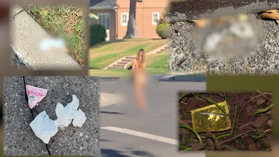 Larchmont prostitution