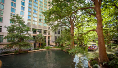 DC Getaway: 5 delicious places to dine in San Antonio