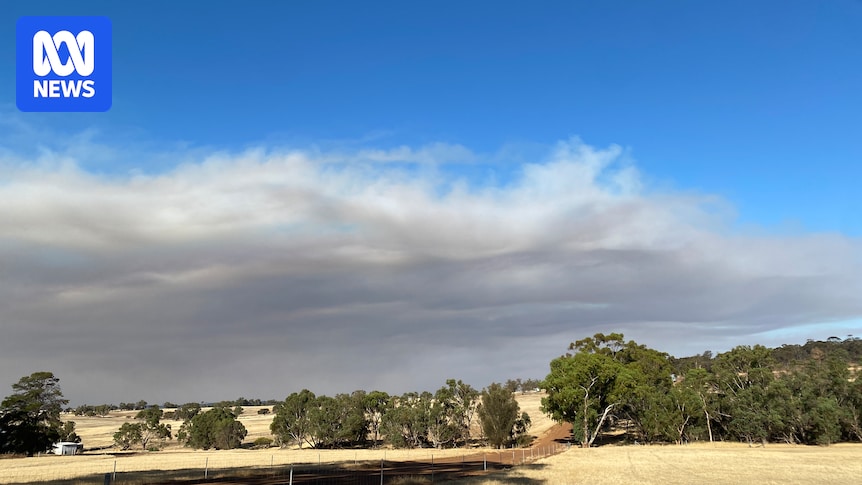 Fatigue a concern as massive fires continue to burn across southern WA