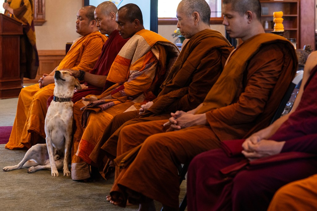 (Maria Crane | Fort Worth Report/CatchLight Local/Report for America)