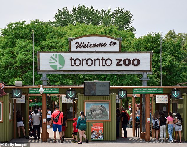 The Toronto Zoo has launched a full investigation and postmortem following the shocking death