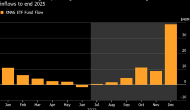 AI ‘Fatigue’ Leaves Investors Focused on S&P’s Other 493 Stocks