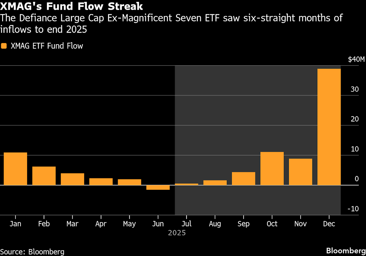 AI ‘Fatigue’ Leaves Investors Focused on S&P’s Other 493 Stocks