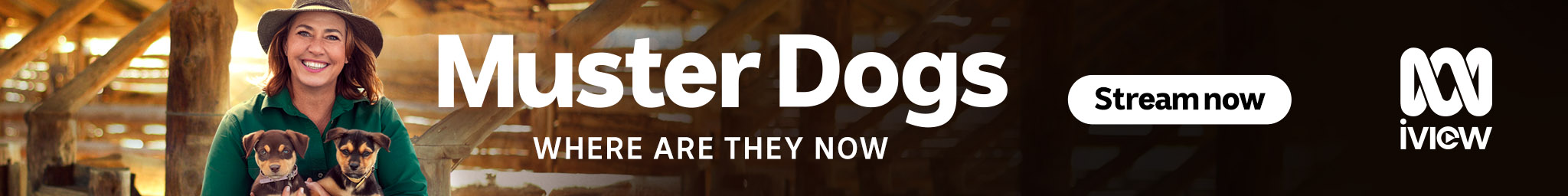 11_MusterDogs_WATNS2_C-1315_iview_banner_2048x256