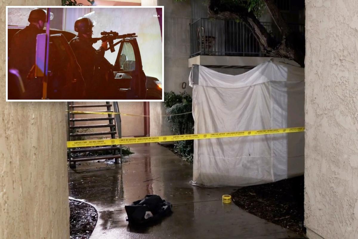 Off-duty ICE agent gunned down 'active shooter' neighbor