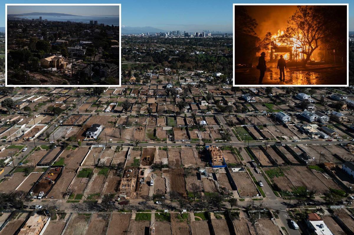 Here's the real cost of the 2025 LA wildfires