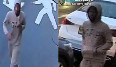 NYPD hunts for juvenile brutes who fractured elderly woman's elbow in Central Park