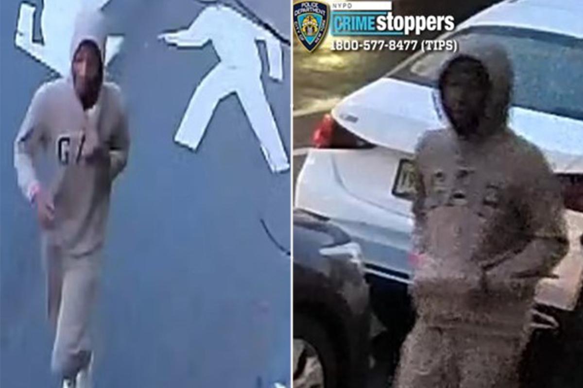 NYPD hunts for juvenile brutes who fractured elderly woman's elbow in Central Park