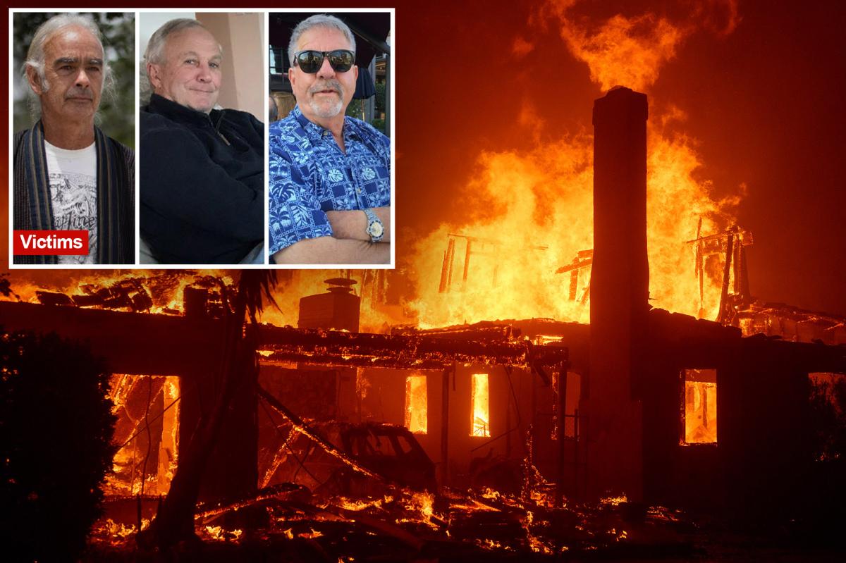 Palisades Fire victims file wrongful death lawsuits against Los Angeles
