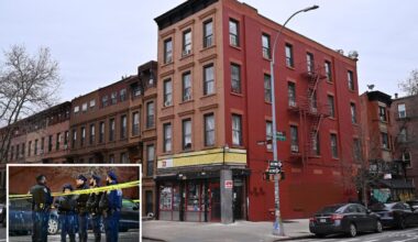 NYC man allegedly told his mom, 'I killed grandma' after 85-year-old woman found dead