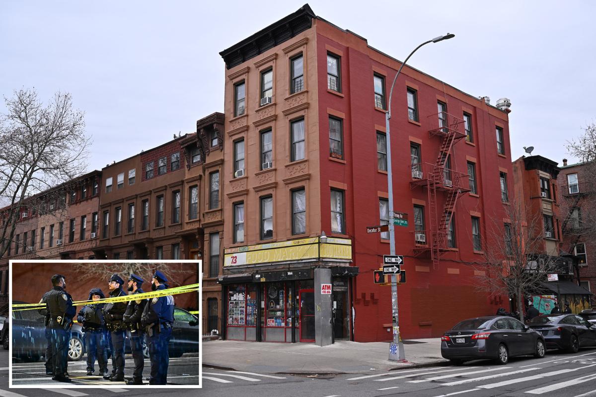 NYC man allegedly told his mom, 'I killed grandma' after 85-year-old woman found dead