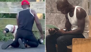 NYC judge set to decide fate of dog duct-taped at NYC park