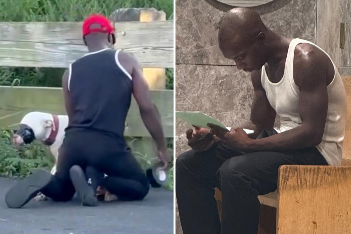 NYC judge set to decide fate of dog duct-taped at NYC park