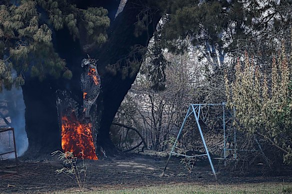 A burning tree at Ann and Jamie Laherty-Hunt’s property on the outskirts of Ruffy.