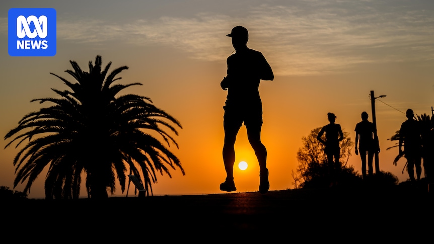 'Most significant' heatwave in six years brings temperatures above 45C