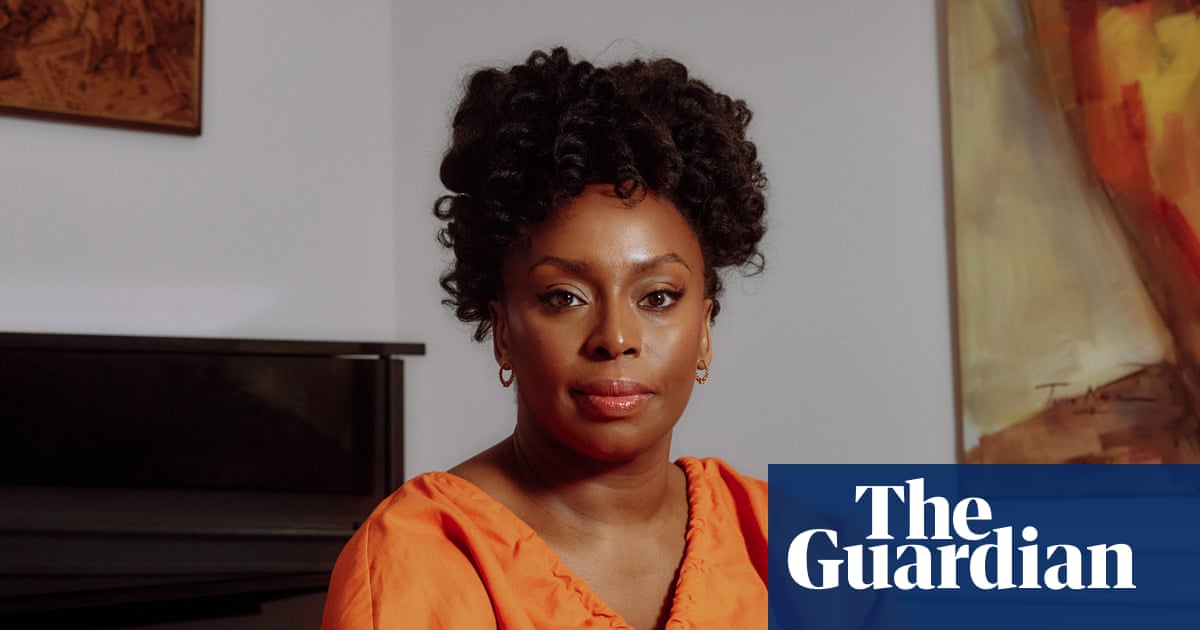 Death of Chimamanda Ngozi Adichie’s son prompts calls for overhaul of Nigeria’s healthcare sector | Nigeria