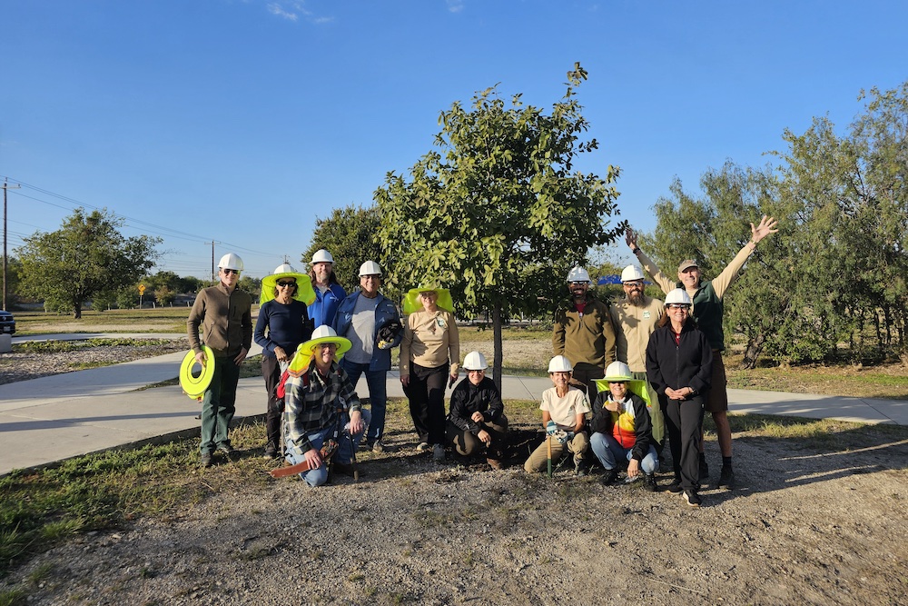 Free event this Sunday to show San Antonio residents how to be urban foresters