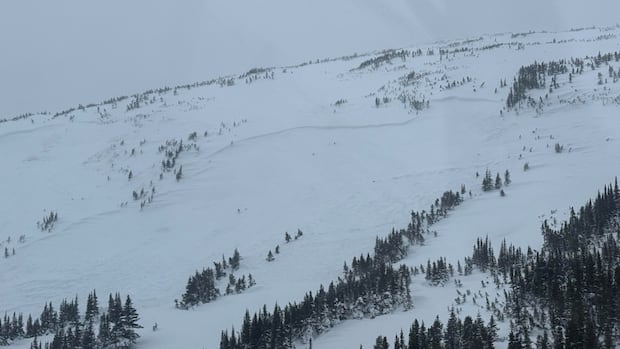 Snowmobiler dies in avalanche in the Rocky Mountains near Tumbler Ridge, B.C.