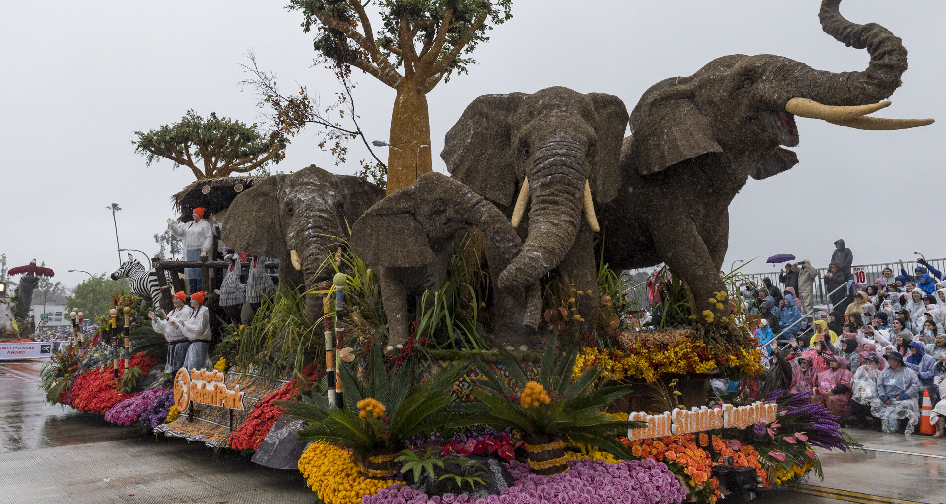 San Diego Zoo Wildlife Alliance wins award at Rose Parade
