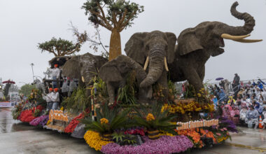 San Diego Zoo Wildlife Alliance wins award at Rose Parade