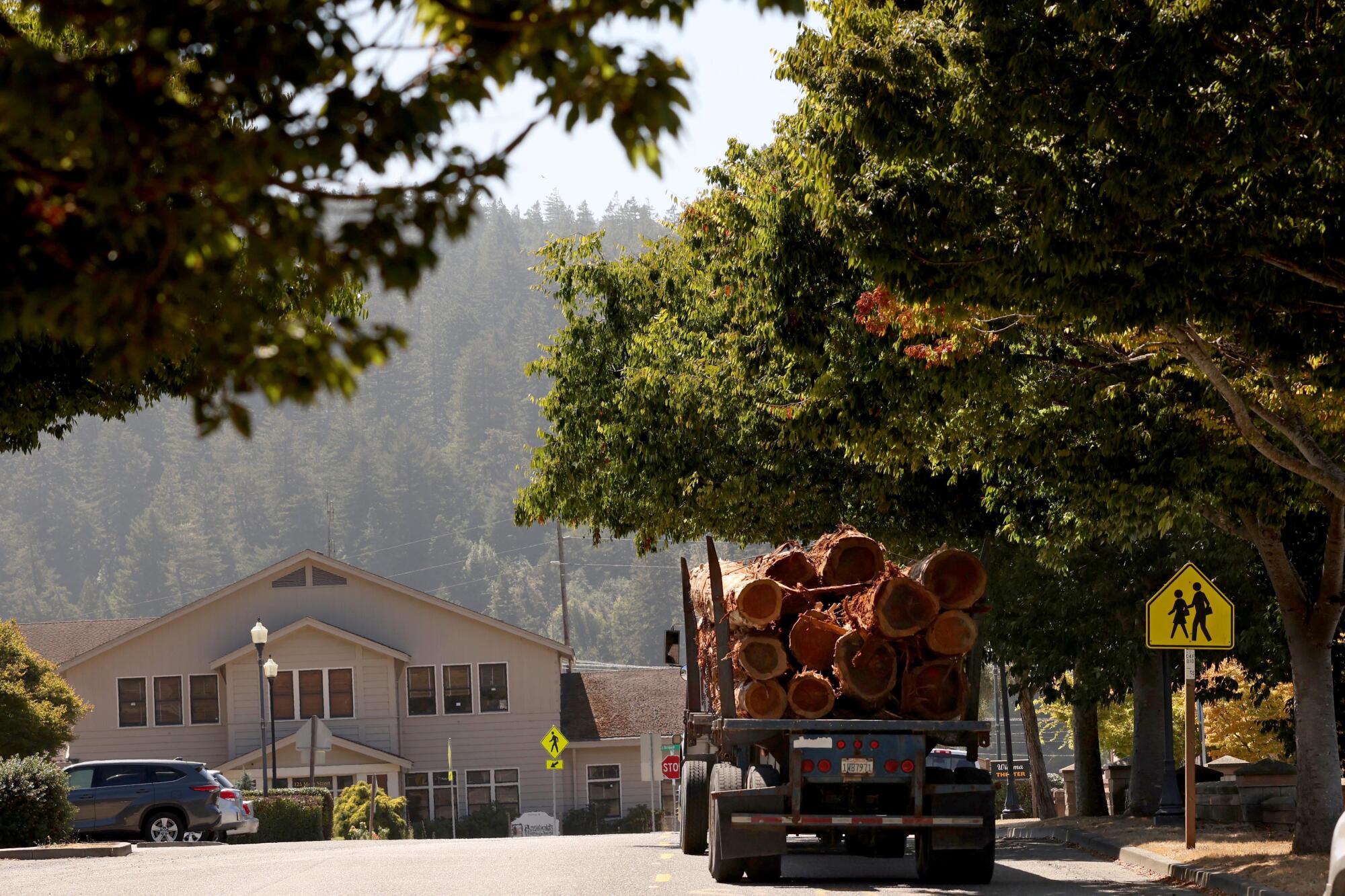 A truck driver carries a load of lumber down Main Street
