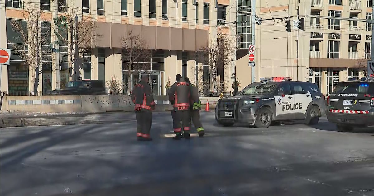 Dog dead after being struck by vehicle in Toronto along Lakeshore Blvd.