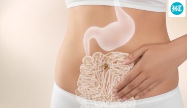 Want to improve gut-brain connection? Dietician shares how fermented foods help