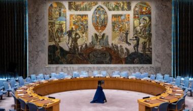 Security Council: New faces, old tensions as five nations take their seats