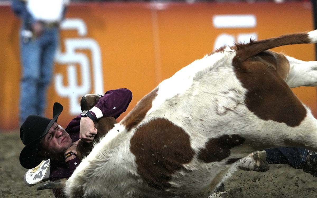 Rodeos don’t belong in 2026 — not in San Diego, not anywhere