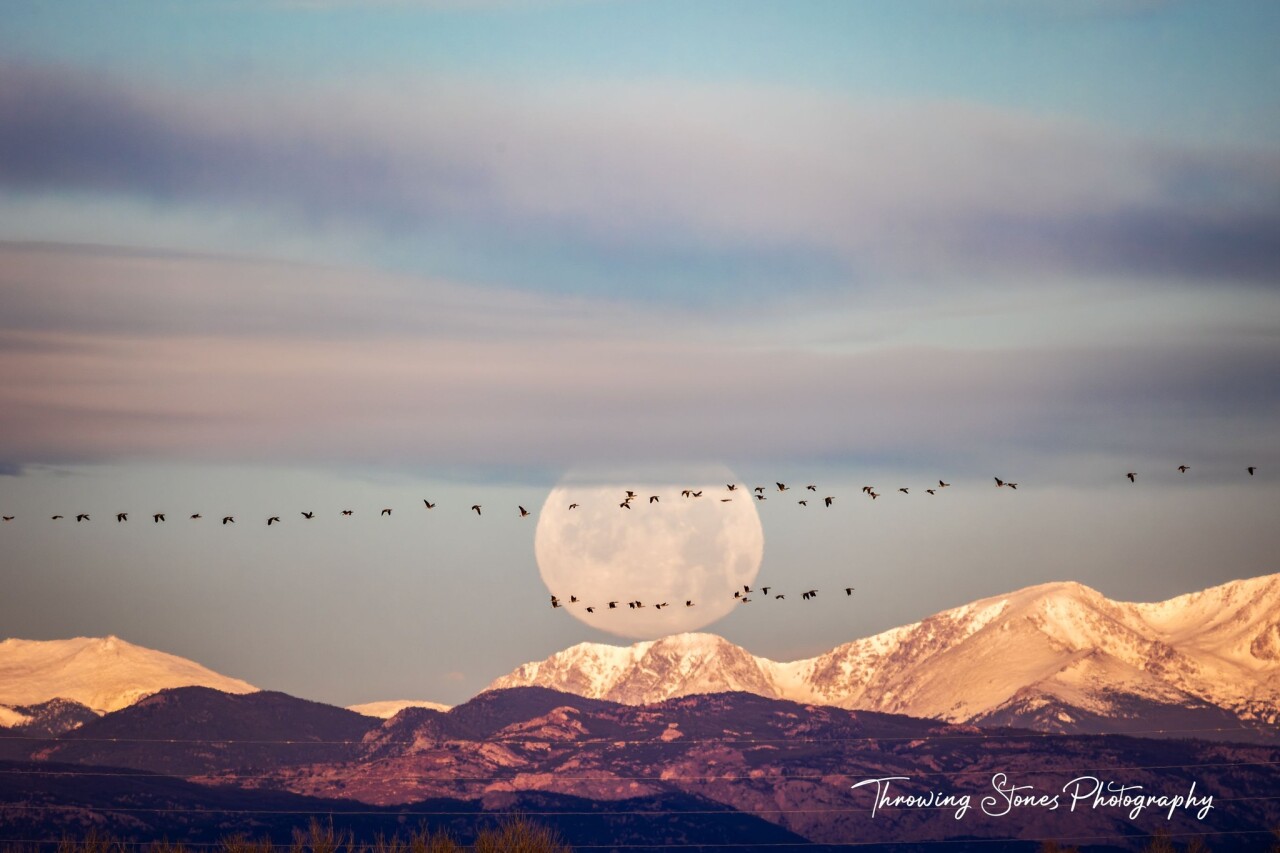 throwing stones photography.jpg