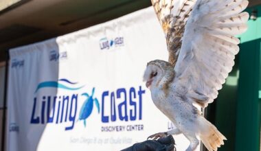 Search underway for Living Coast's next executive director