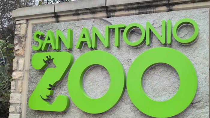 San Antonio Zoo visitors say they still feel safe after Saturday evening stabbing