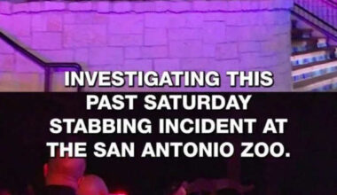 San Antonio Zoo visitors say they still feel safe after Saturday evening stabbing