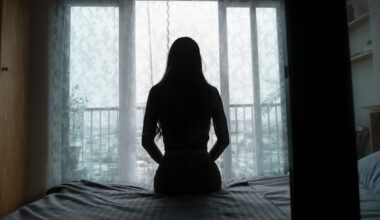 IPV support program canned after causing unexpected complications in court