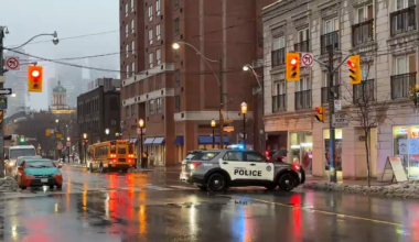 Pedestrian hit by school bus in downtown Toronto