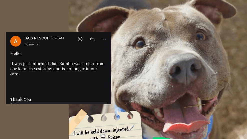 ACS: Surveillance footage may identify man who stole a dog from the shelter