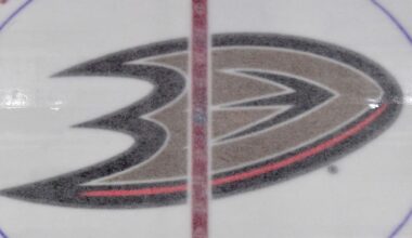 Former employee sues Ducks, NHL for harassment, discrimination