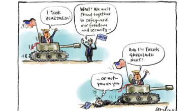 The three reasons Wilcox’s cartoon was unacceptable