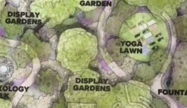 San Antonio nursery closing after 45 years to convert land into green space