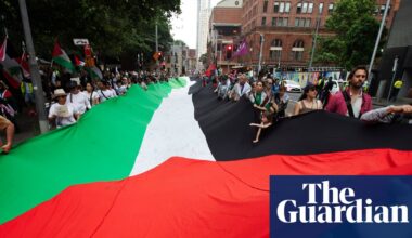 NSW protest laws hit by constitutional challenge that claims crackdown restricts free speech | Australia news