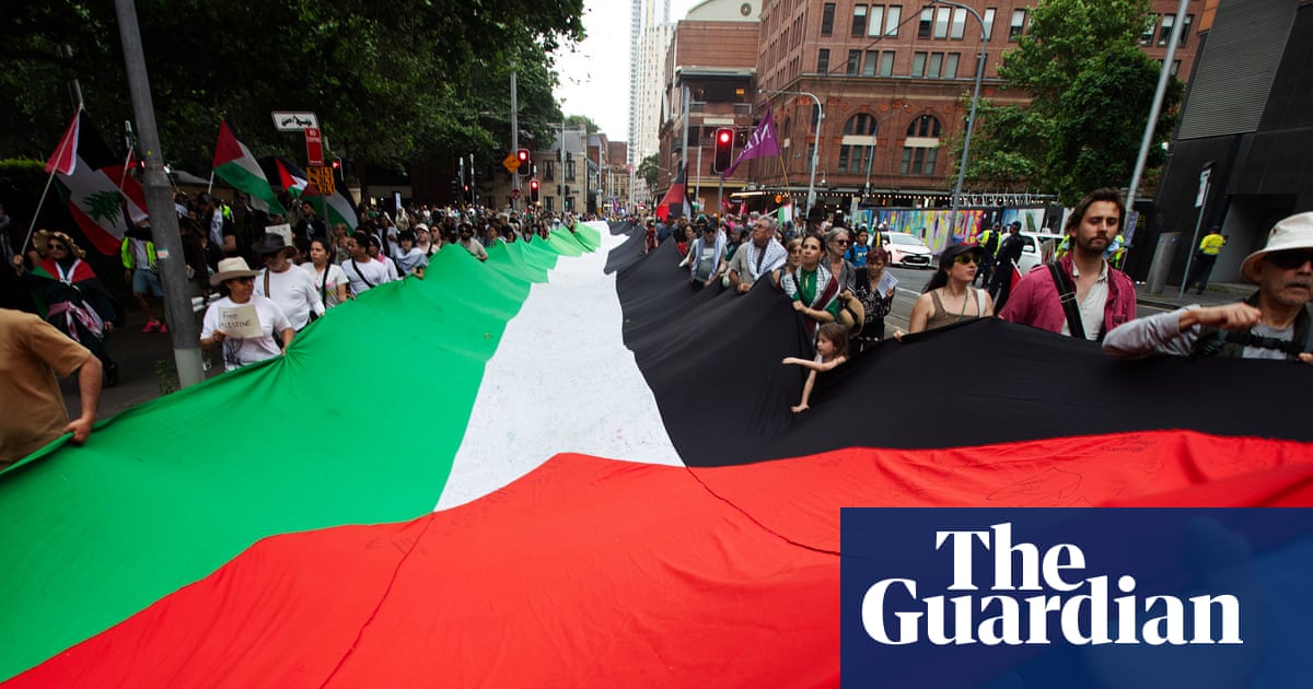 NSW protest laws hit by constitutional challenge that claims crackdown restricts free speech | Australia news