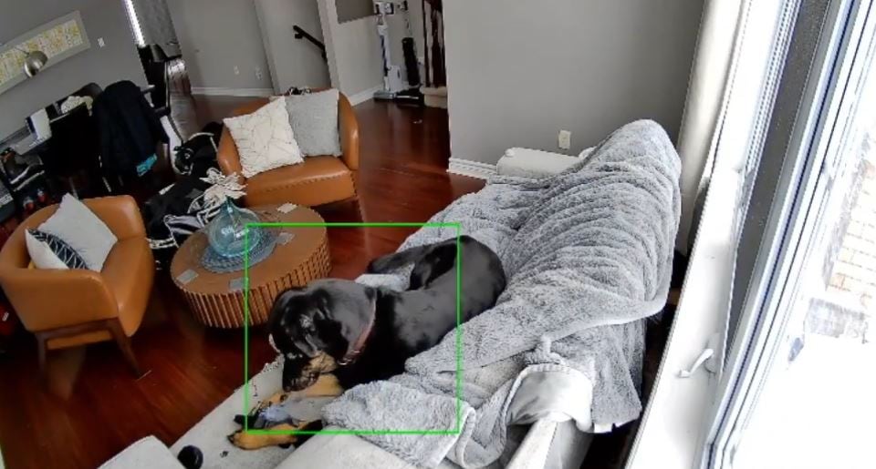 The dog jumped off the couch after seeing smoke coming from the glove. 