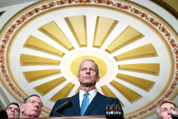 Senate Majority Leader John Thune, R-S.D., speaks to reporters following the weekly policy luncheons at the Capitol, Dec. 16, 2025, in Washington. (AP Photo/Jose Luis Magana, File)