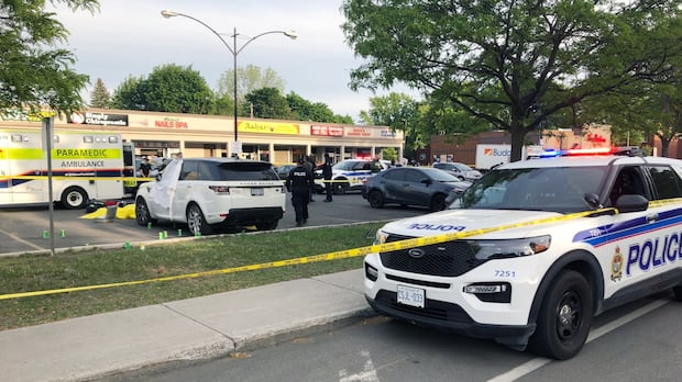 Another murder prosecution falls apart and frees accused, this time in bounty killings of 2 brothers